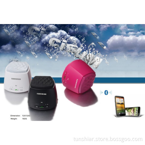 Wireless Bluetooth Speaker (BT-B6H)